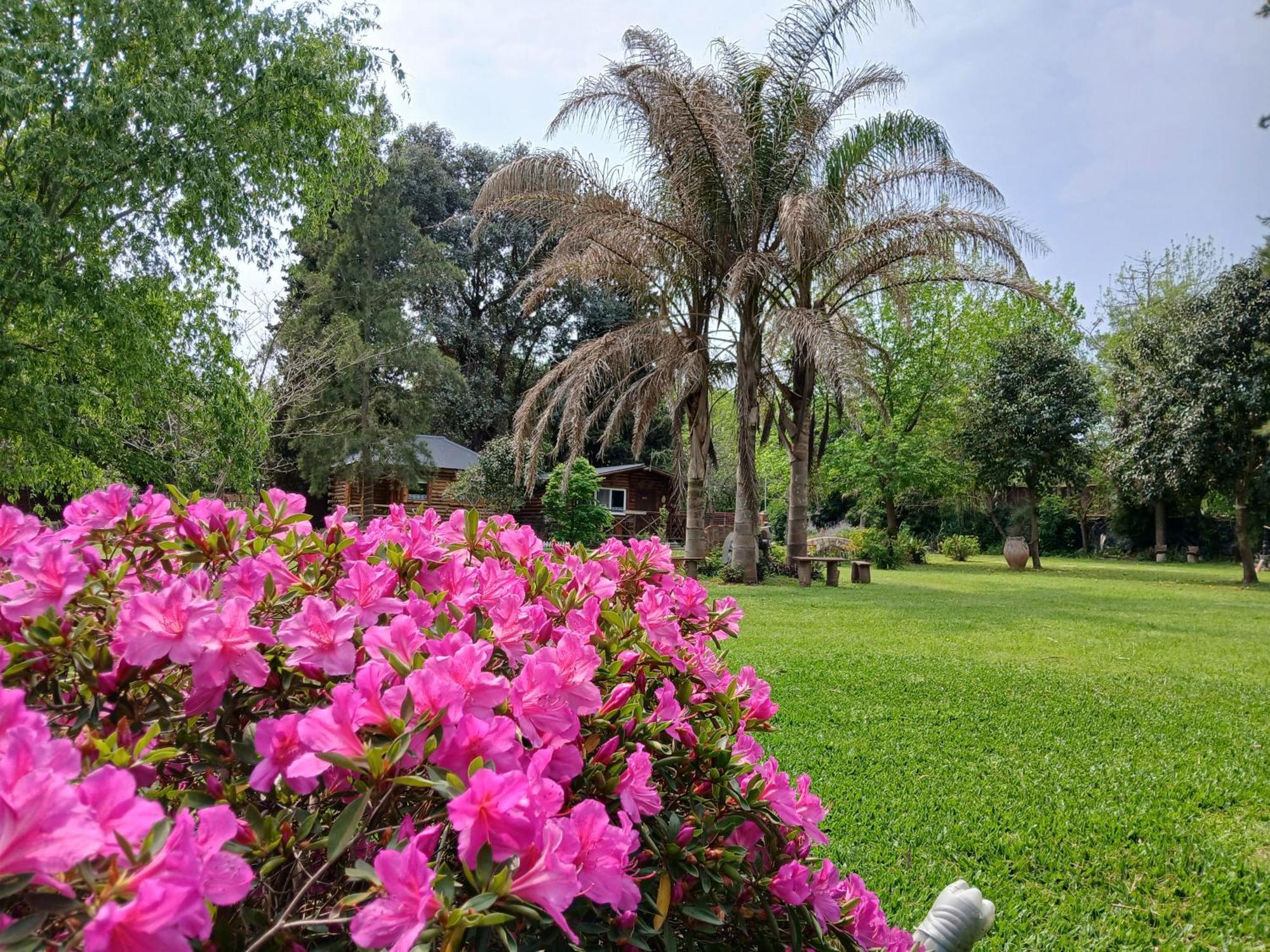 Pualy Resort & Spa Belén de Escobar Eksteriør billede